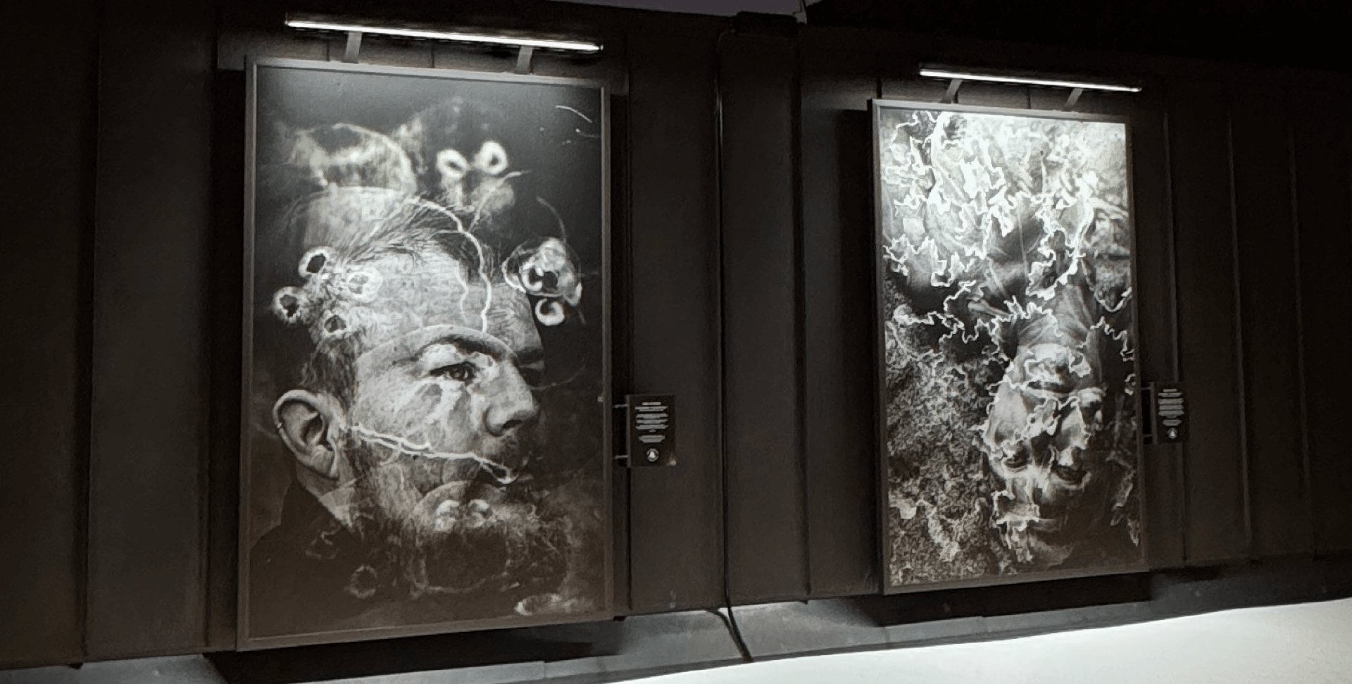 Taide tuo Itämeren tarinan osaksi Roschierin arkea