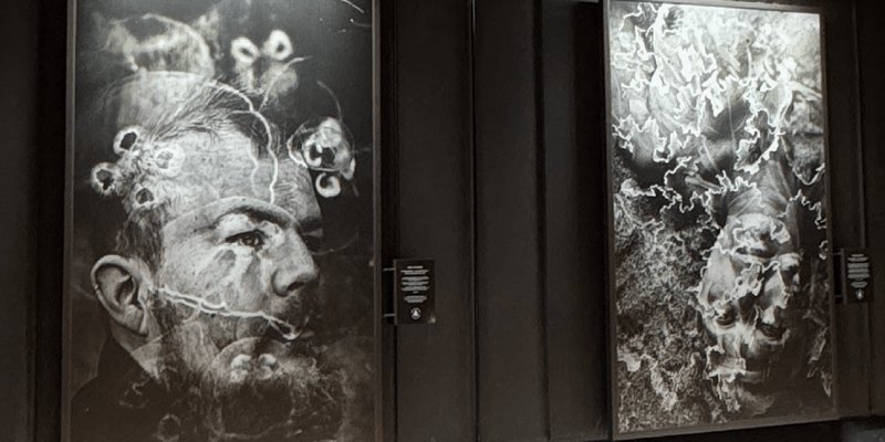 Taide tuo Itämeren tarinan osaksi Roschierin arkea